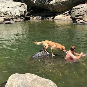 Meet your Posher, Gus